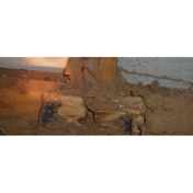Gallery Image Number 7