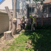 Trees by Forrest | Tree Removal Company in Plymouth, MN gallery