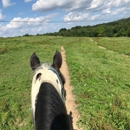 Rolling Hills Ranch - Horse Equipment & Services