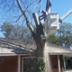 Falling Timbers Tree Service