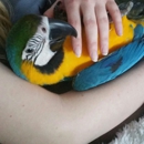 Best Birds Aviary - Birds & Bird Supplies
