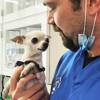 Green Dog Dental and Veterinary Center gallery