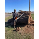 Sawdust Savage Arbor Co. - Tree Service
