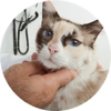 Saint Thomas Veterinary Center gallery