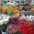 Stevens and Son Wholesale Florist