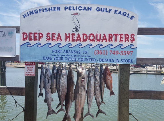 Iced Down Sportfishing - Port Aransas, TX