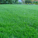 Buffalo Lawn & Pest Services - Pest Control Equipment & Supplies