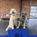 Off Leash K9 Training Winston-Salem - Dog Training