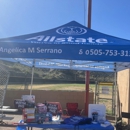 Angelica Martinez Serrano: Allstate Insurance - Insurance Consultants & Analysts
