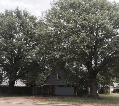 Addison Tree Care LLC - Memphis, TN