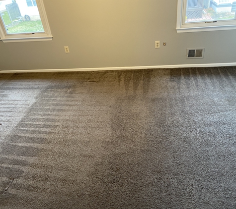 Tulip Carpet Cleaning of Arlington - Arlington, VA