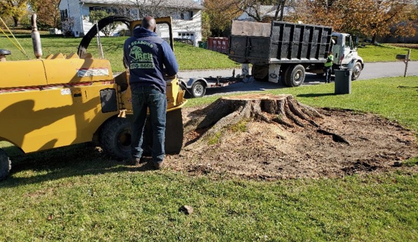 4 Seasons Tree Service - Newburgh, NY