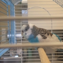 Valley Emergency Pet Care - Veterinarians