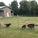 Packway Canine Free Range Boarding - Pet Services