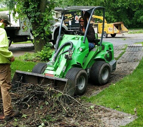 Timber Masters Tree Service - Schererville, IN