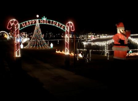 Nettles Family Christmas Lights - Rockmart, GA