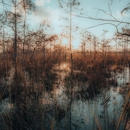 Everglades Excursions - Nature Centers