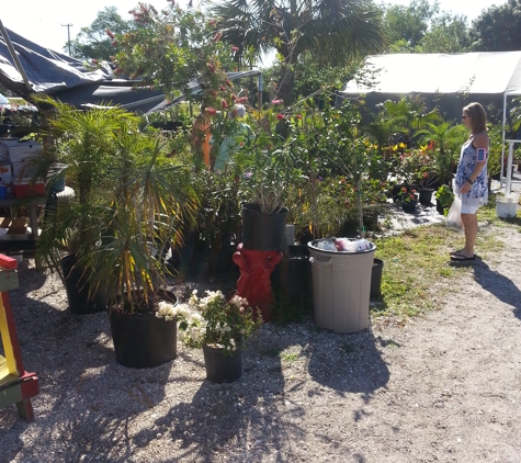 Bent Oak Nursery, Punta Gorda Plants.Com - Punta Gorda, FL