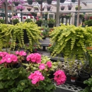 Mike's Country Market & Greenhouses - Fruit & Vegetable Markets