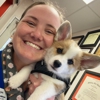 CityVet | Addison gallery