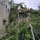 Cape & Island Tree Service Inc