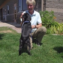 Cascade Animal Connection - Dog Training