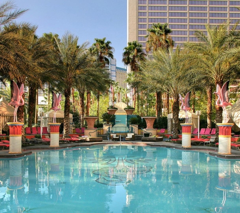 Flamingo Family Pool - Las Vegas, NV