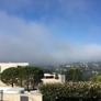 Photo #31