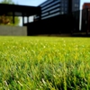 GTO Landscaping gallery