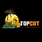 Top Cut Stump Grinding