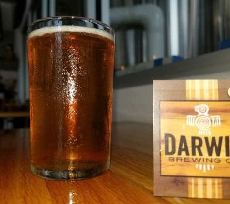 Darwin Brewing Company, Beer Garden, and Taproom - Bradenton, FL