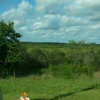 Paynes Prairie State Park gallery