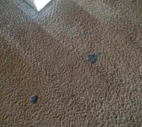 Around the Bay Carpet Cleaning