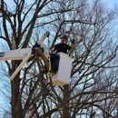 Sunderland Tree Service - Tree Service