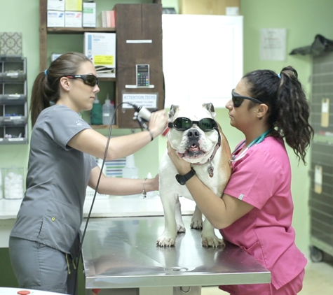 DPC Veterinary Hospital - Davie, FL