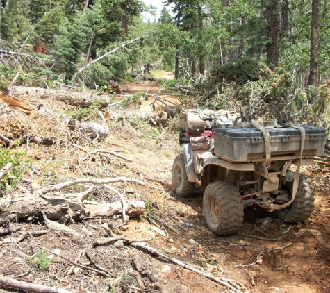 Size Matters ATV, UTV Rentals & Tours - Peoria, AZ