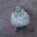 Bear and Bird Gallery - Art Galleries, Dealers & Consultants
