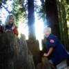 Santa Cruz Redwoods RV Resort gallery