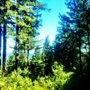 The Sequoia Retreat Center - Retreat Facilities