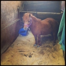Sunshine Farms - Horse Trailers