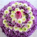 Blossom Flowers - Florists