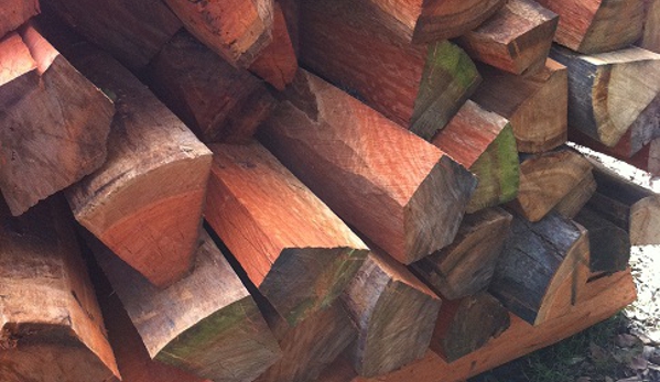 ANC Tree Services - Jimboomba, QLD