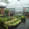 Treeland Garden Center & Nursery gallery