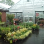 Treeland Garden Center & Nursery