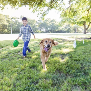 Invisible fence By Pet Alert - Manasquan, NJ