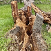 Gallery Image Number 7