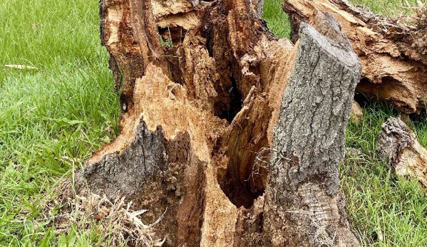 EnviroArb Pty Ltd - Emerald Beach, NSW