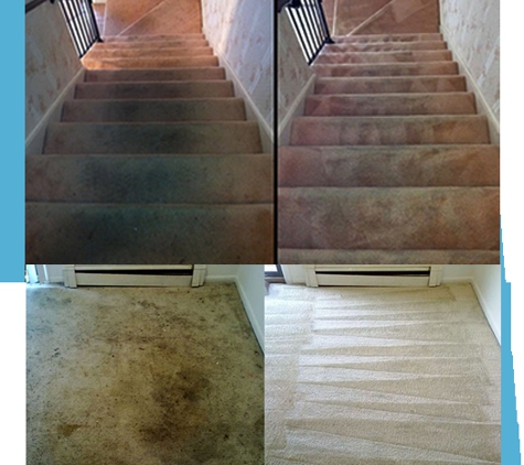 Edwards Carpet Cleaners - Raleigh, NC