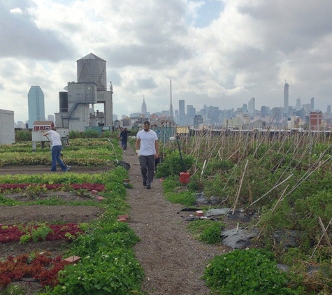 Brooklyn Grange - Long Island City, NY