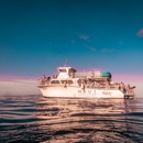 Maui Snorkeling - Tours-Operators & Promoters